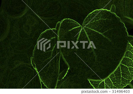 葉片的圖像合成 31496403