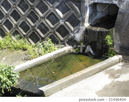 Domestic drainage and dirty water 31496404