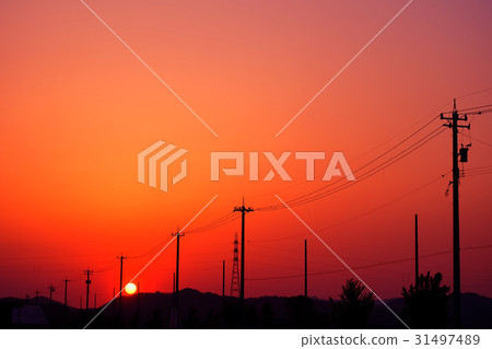 夕陽 31497489
