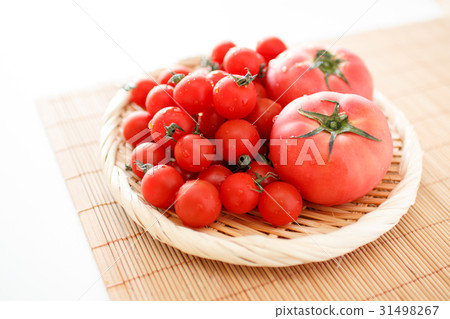 蕃茄 蕃茄 31498267