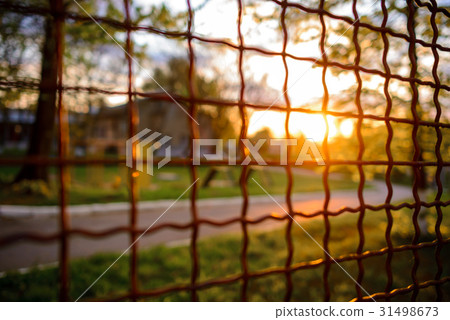 fence with metal grid in perspective fence with metal grid in perspective 31498673