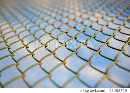 fence with metal grid in perspective fence with metal grid in perspective 31498739
