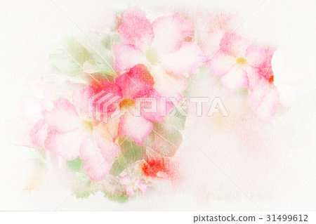 Flower watercolor illustration 31499612