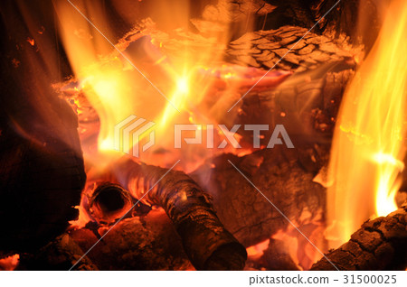 Burning fire wood Burning fire wood 31500025