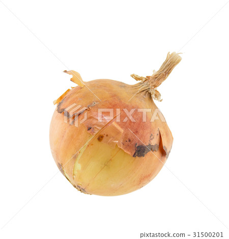 Onion isolated on white background Onion isolated on white background 31500201