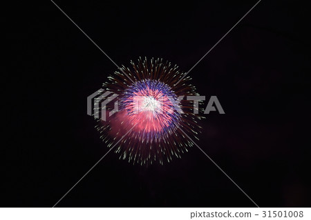 煙花在夜空中 31501008