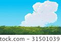 Green grasses meadow with clouds and blue sky 31501039