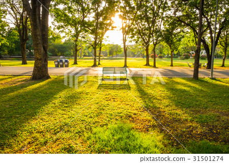 Park bench sunset yellow light beam 31501274