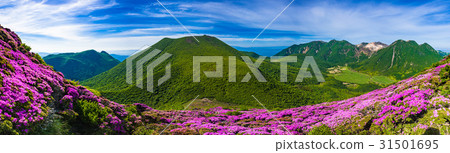 Miyama Kirishima盛開的崎嶇山脈 Miyama Kirishima盛開的崎嶇山脈 31501695
