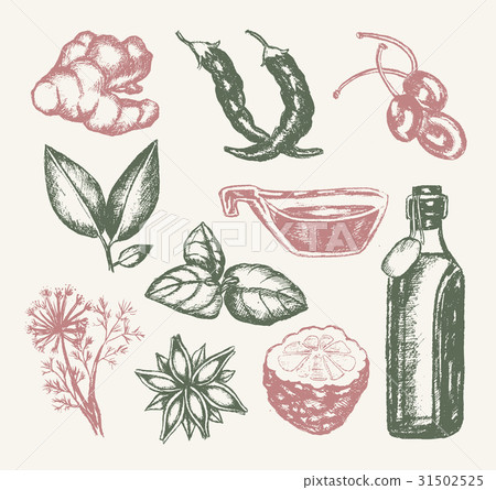 Natural Products - illustration of drawn vintage 31502525
