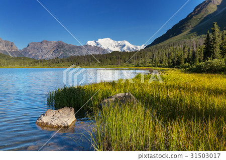 Wrangell Wrangell 31503017