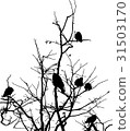 crows on branches 31503170