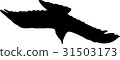 crow in flight 31503173