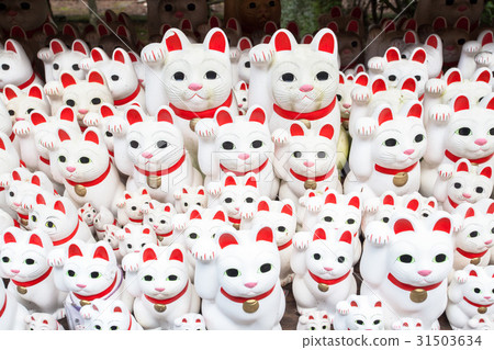 Lucky cat Lucky cat 31503634