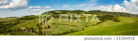 green spring Tuscany panorama landscape green spring Tuscany panorama landscape 31504558