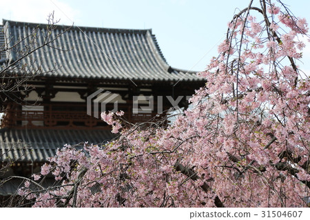 法隆寺 法隆寺 31504607