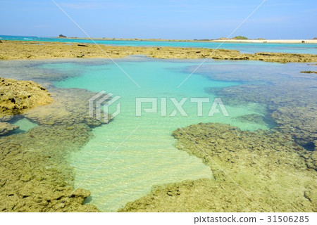 奄美刷新的夏天海景Towar海岸02 31506285