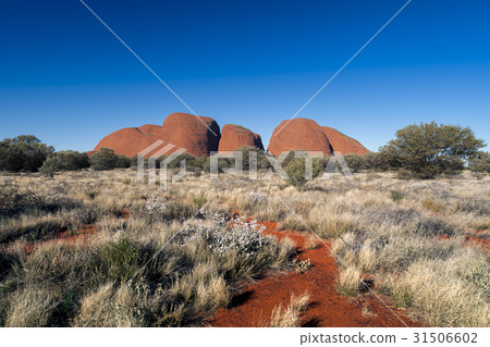 Australia Landscape : Red rock of Alice Sping 31506602