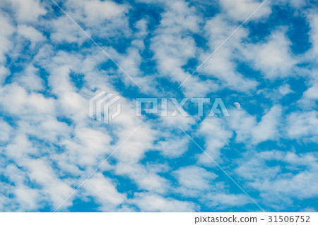 Cloud with blue sky 31506752
