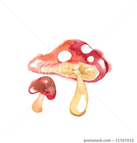 秋天的森林，材料，蘑菇 31507818