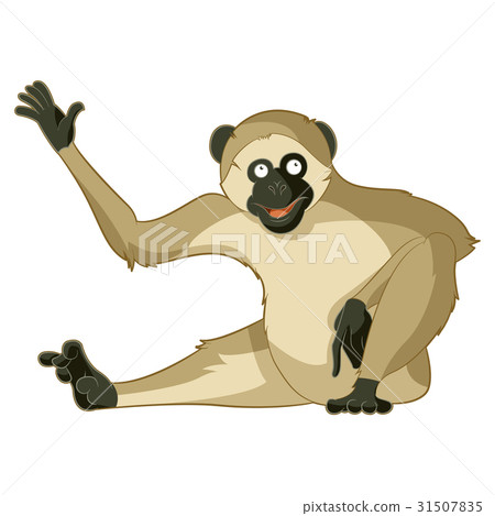 Cartoon greeting vervet 31507835