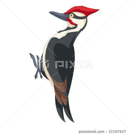 Cartoon smiling woodpecker 31507837
