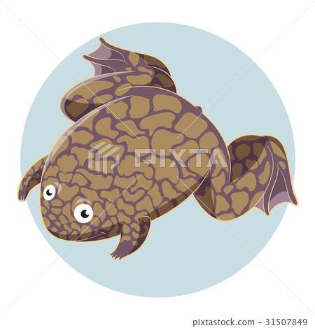 Cartoon smiling Xenopus 31507849