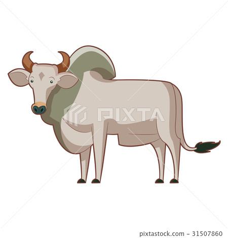 Cartoon standing zebu 31507860