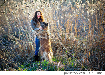 Woman playing with Caucasian shepherd dog, autumn Woman playing with Caucasian shepherd dog, autumn 31508084