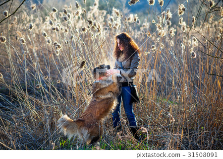 Woman playing with Caucasian shepherd dog, autumn Woman playing with Caucasian shepherd dog, autumn 31508091