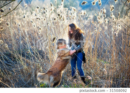 Woman playing with Caucasian shepherd dog, autumn Woman playing with Caucasian shepherd dog, autumn 31508092
