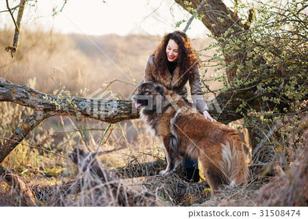 Woman playing with Caucasian shepherd dog, autumn 31508474