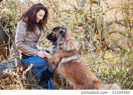 Woman playing with Caucasian shepherd dog, autumn 31508480