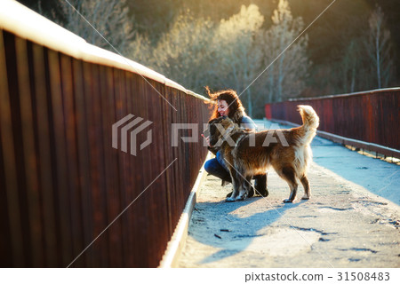 Woman playing with Caucasian shepherd dog, autumn 31508483