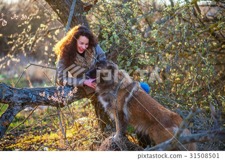 Woman playing with Caucasian shepherd dog, autumn Woman playing with Caucasian shepherd dog, autumn 31508501