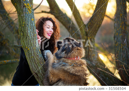 Woman playing with Caucasian shepherd dog, autumn Woman playing with Caucasian shepherd dog, autumn 31508504