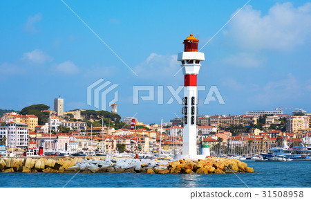 Vieux Port in Cannes, France 31508958