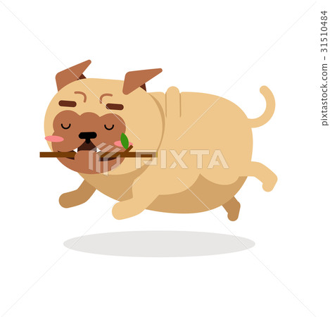 Funny pug dog character playing with wooden stick 31510484