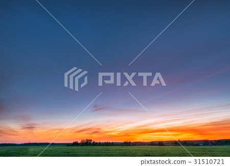 Green Wheat In Spring Field Under Scenic Summer Green Wheat In Spring Field Under Scenic Summer 31510721