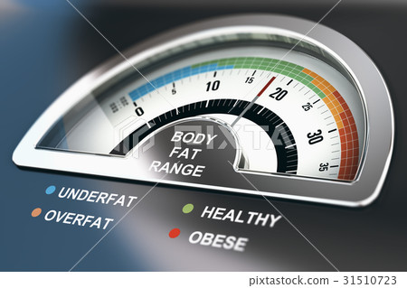 Body Fat Range Body Fat Range 31510723