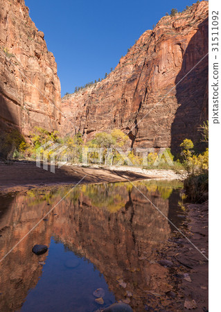 Zion Narrows in Autumn 31511092
