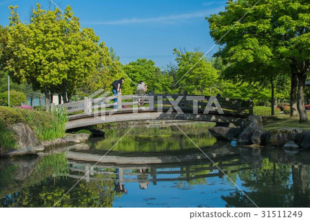 看看池塘 看看池塘 31511249