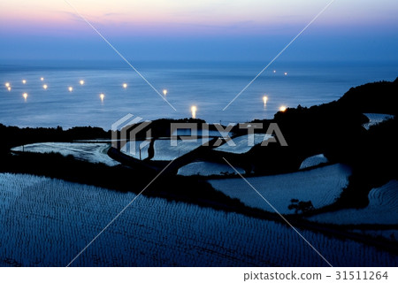 Higashiushirobata rice fields at sunset Higashiushirobata rice fields at sunset 31511264
