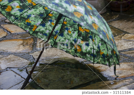 雨，雨傘，雨、傘、Rain, umbrella, 31511384