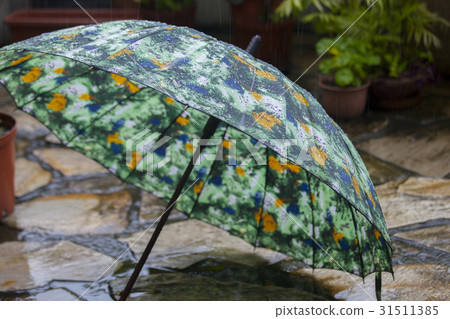 雨，雨傘，雨、傘、Rain, umbrella, 31511385