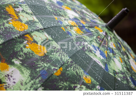 雨，雨傘，雨、傘、Rain, umbrella, 31511387