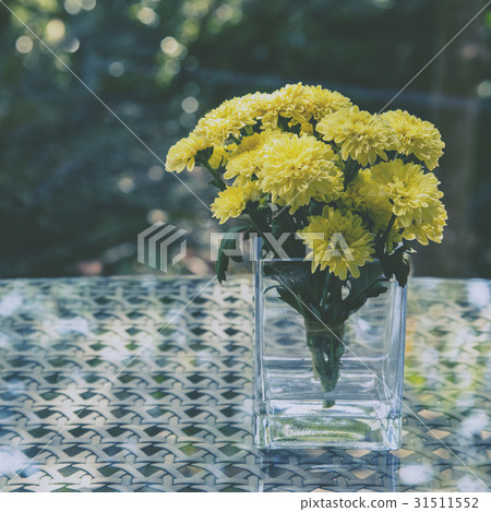 Yellow chrysanthemum flower 31511552