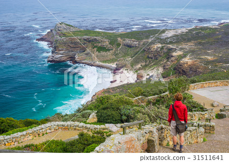 Tourist hiking at Cape Point 31511641