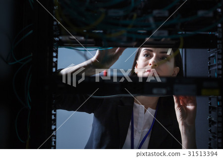 Nice pleasant woman working with the Nice pleasant woman working with the 31513394