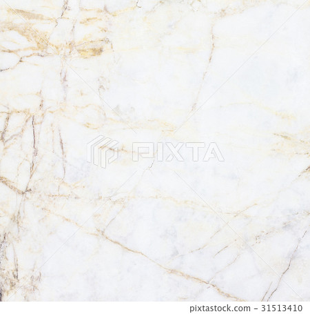 white marble texture background white marble texture background 31513410